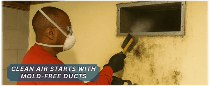 Air Duct Mold Removal in Yonkers