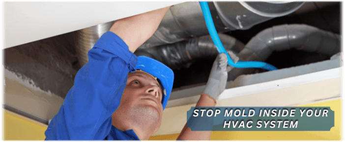 HVAC Mold Removal Yonkers